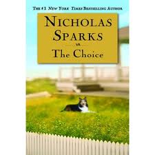 the choice nicholas sparks plot